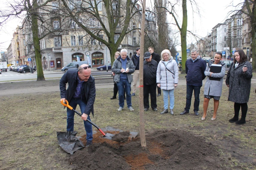 Zielone Miasto: pierwsze drzewa zasadzone! Zielone Miasto: pierwsze drzewa zasadzone!