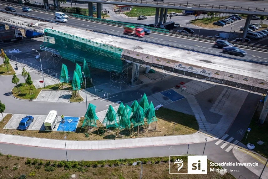 Zielona ochrona: drzewa pod specjalnym nadzorem przy Trasie Zamkowej Zielona ochrona: drzewa pod specjalnym nadzorem przy Trasie Zamkowej