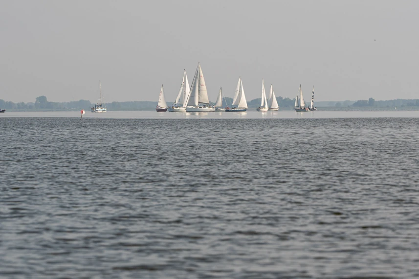 Set sail and compete for the Mayor’s Cup