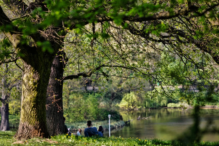 Was Sie in Parks nicht tun sollten