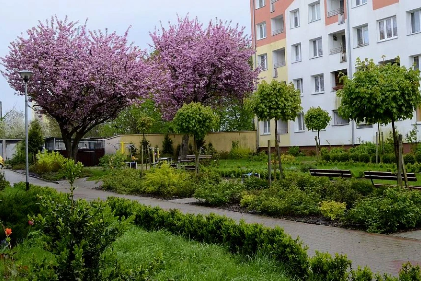 Zielone miasto: Jeszcze więcej zielonych podwórek i przedogródków