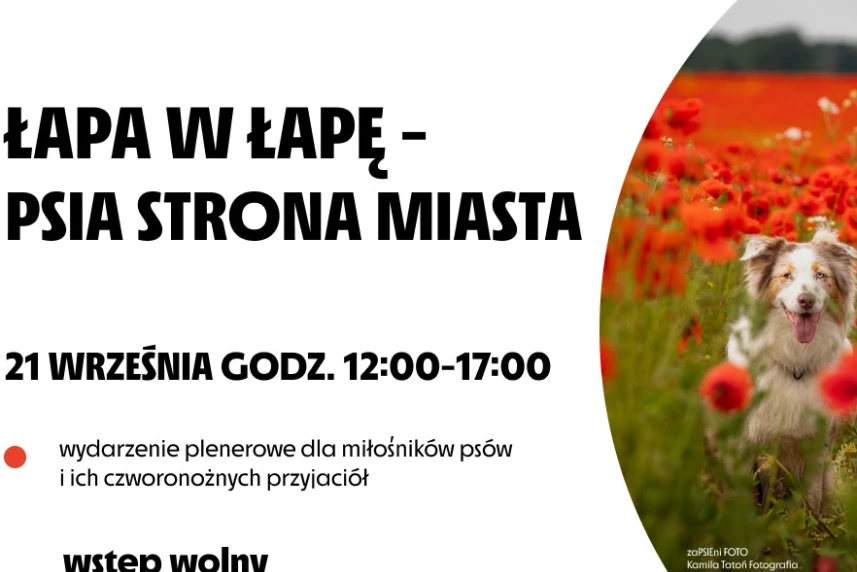Łapa w łapę. Grafika informacyjna