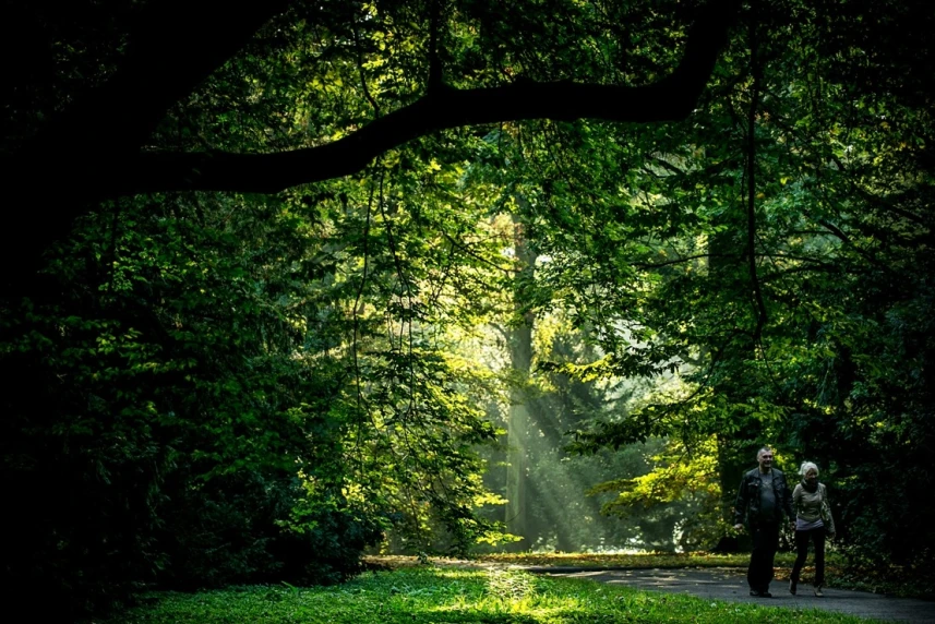 Park Żeromskiego w Szczecinie