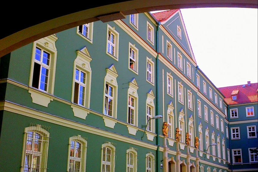 Zastępca dyrektora Wydziału Kultury wybrany