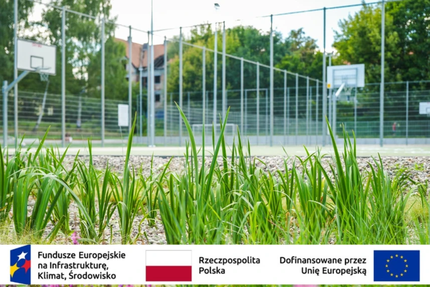 Nasadzenia zieleni przy boisku.