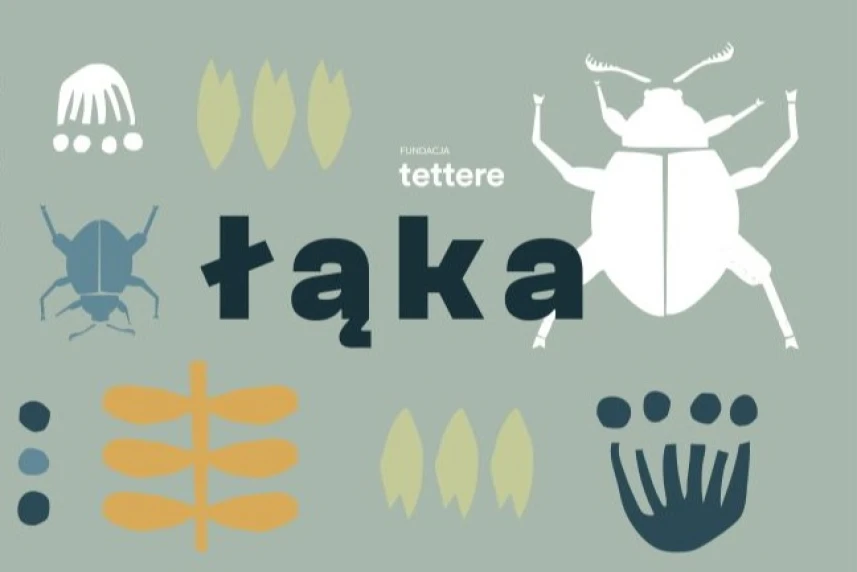 Grafika ilustracyjna Grafika ilustracyjna