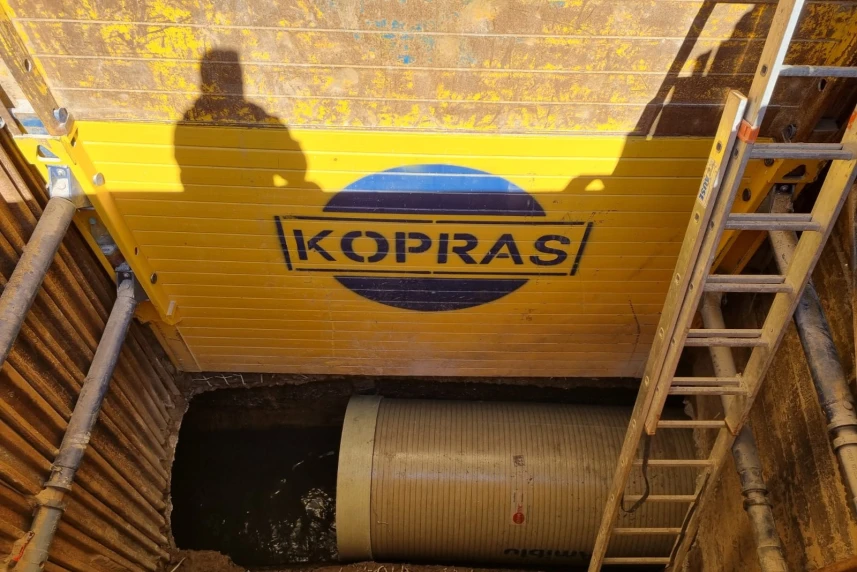 Bezpieczeństwo sanitarne miasta kontra mrówka rudnica