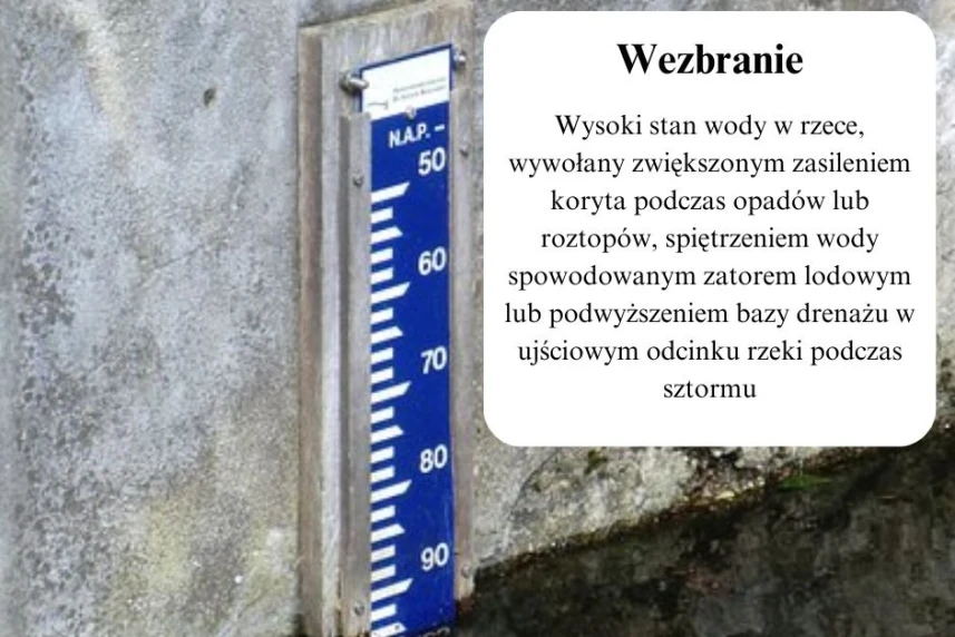 Grafika ilustracyjna