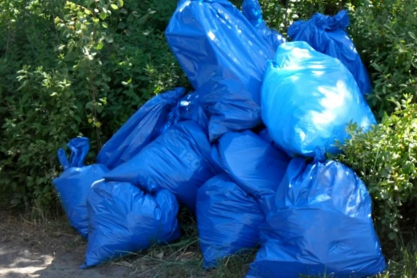 Zebrali ćwierć tony śmieci