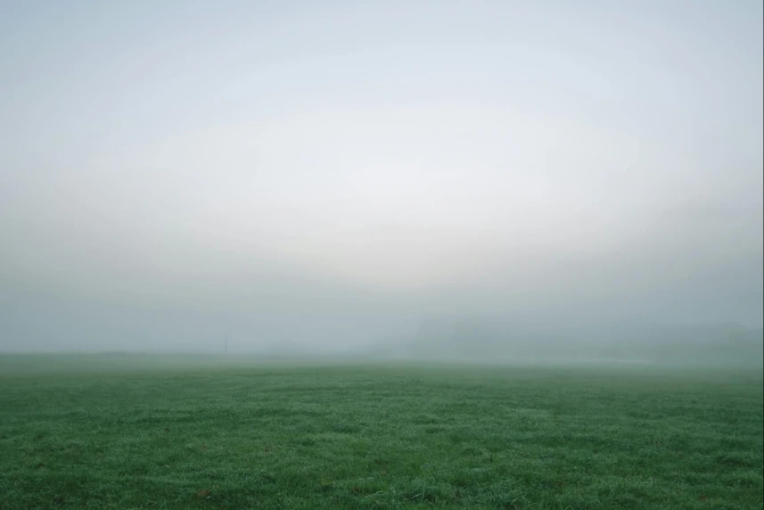 Gęsta mgła unosząca się nad zieloną polaną. Gęsta mgła unosząca się nad zieloną polaną.