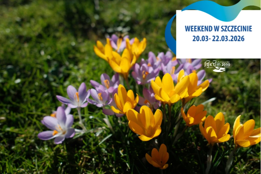 Grafika ilustracyjna