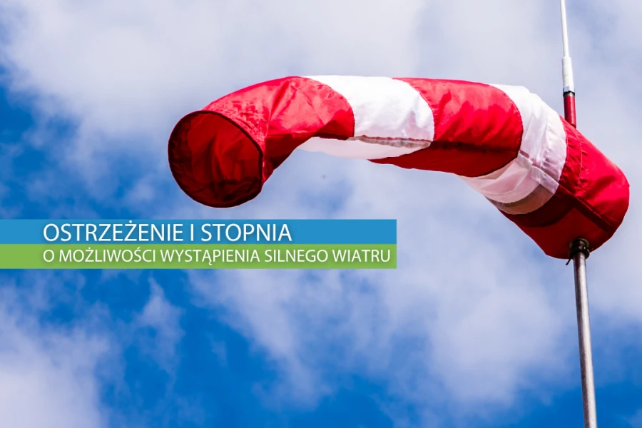 Grafika ilustracyjna