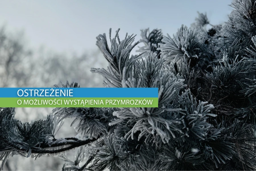 Grafika ilustracyjna Grafika ilustracyjna