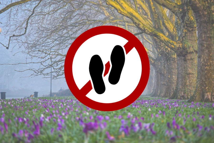 Grafika ilustracyjna