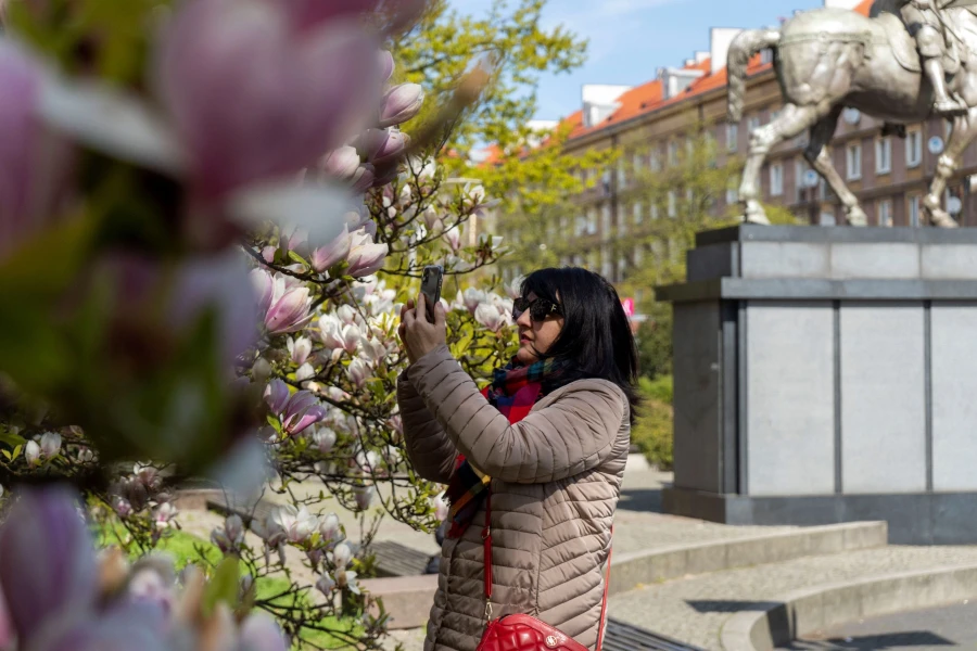 Kobieta robiąca zdjęcie kwiatom magnolii