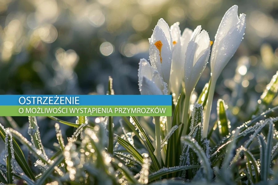Ostrzeżenie meteorologiczne  o wystąpieniu przymrozków