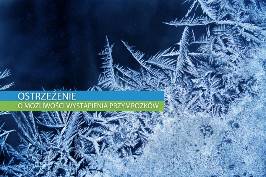 Grafika ilustracyjna