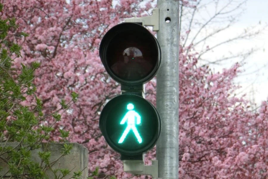 Sygnalizacja świetlna Szczecin