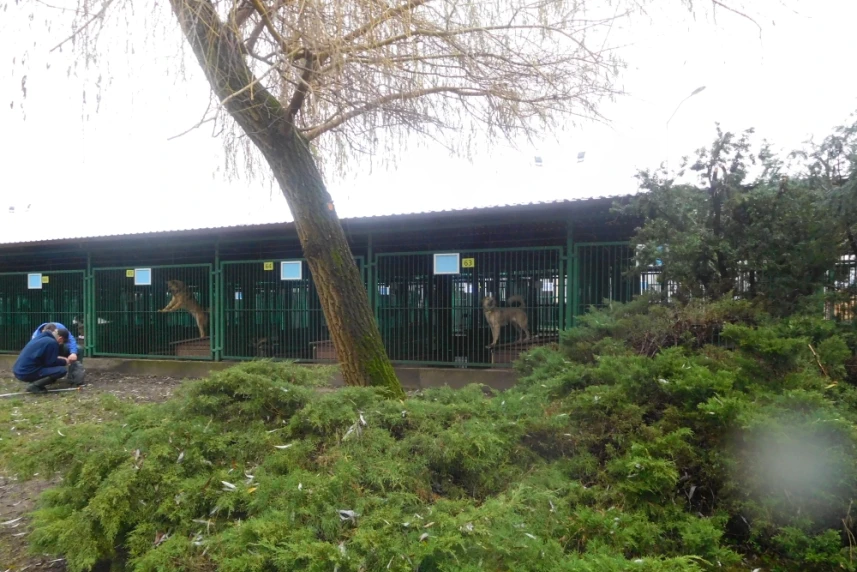 Nowość w schronisku, kolejny prezent od darczyńcy