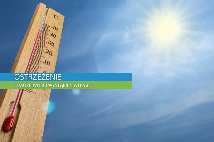 Grafika ilustracyjna Grafika ilustracyjna