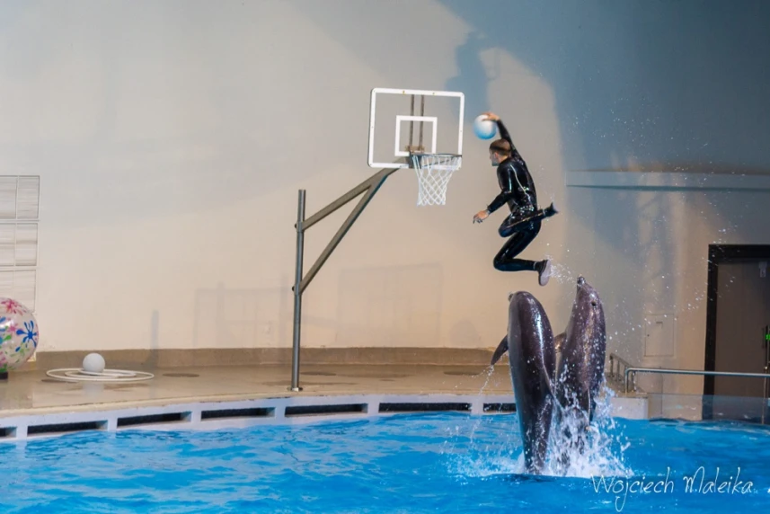 Relacja naszych młodych żeglarzy z Kłajpedy Relacja naszych młodych żeglarzy z Kłajpedy