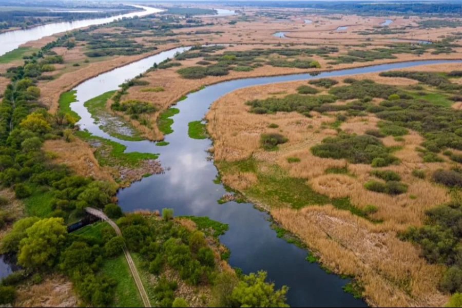 Park krajobrazowy Dolina Dolnej Odry Park krajobrazowy Dolina Dolnej Odry