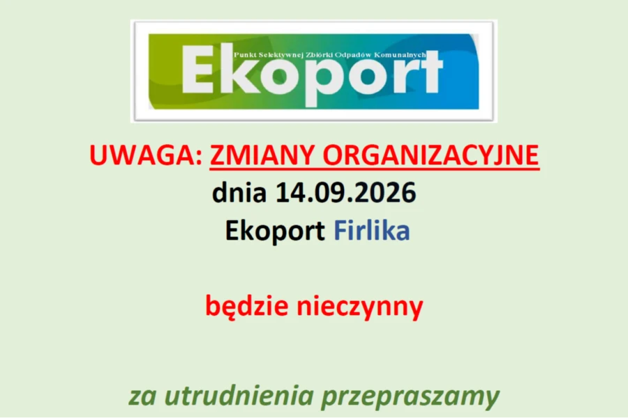 Grafika ilustracyjna Grafika ilustracyjna