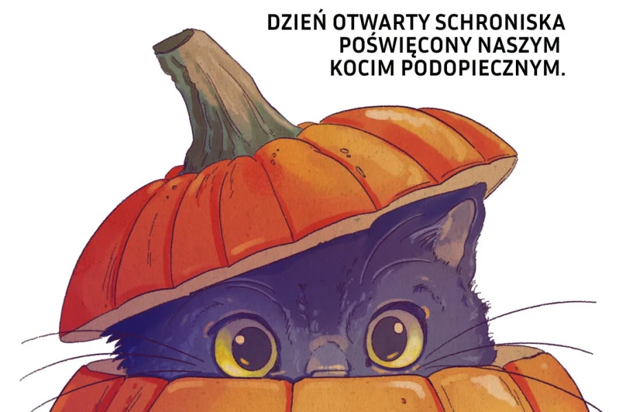 Halloween z czarnym kotem Halloween z czarnym kotem