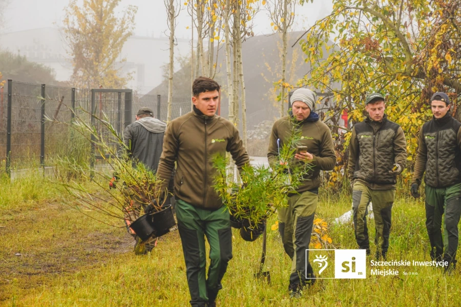 Na Wiskordzie sadzą drzewa Na Wiskordzie sadzą drzewa