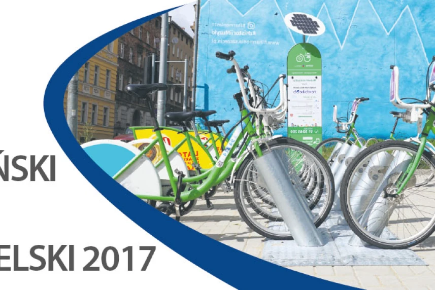 SBO 2017: Jak głosować?