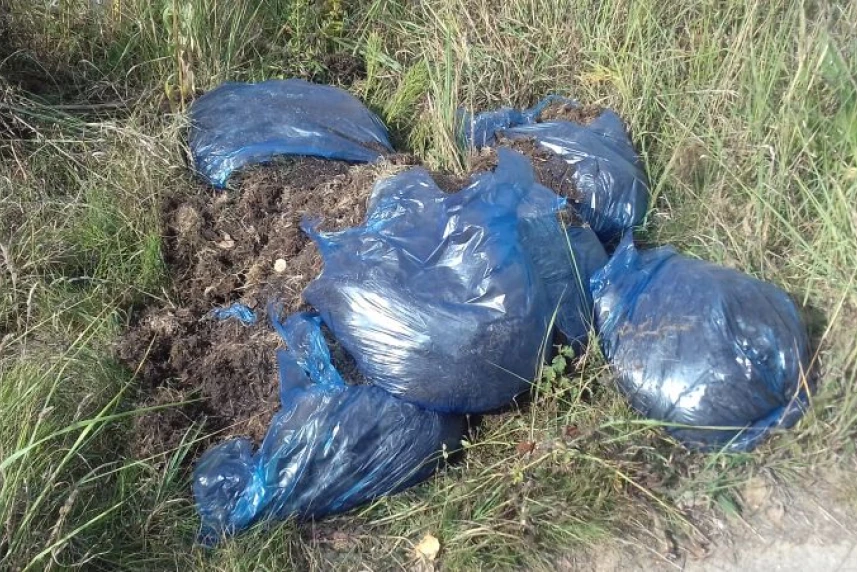 Wywiózł śmieci do lasu, został namierzony przez strażników miejskich Wywiózł śmieci do lasu, został namierzony przez strażników miejskich