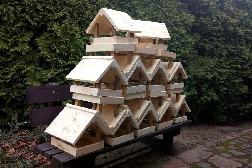 Domki dla ptaków: ogromne zainteresowanie przedszkolaków