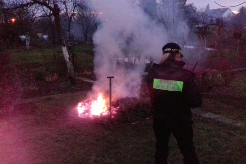 Nielegalne spalanie na ogrodach działkowych Nielegalne spalanie na ogrodach działkowych