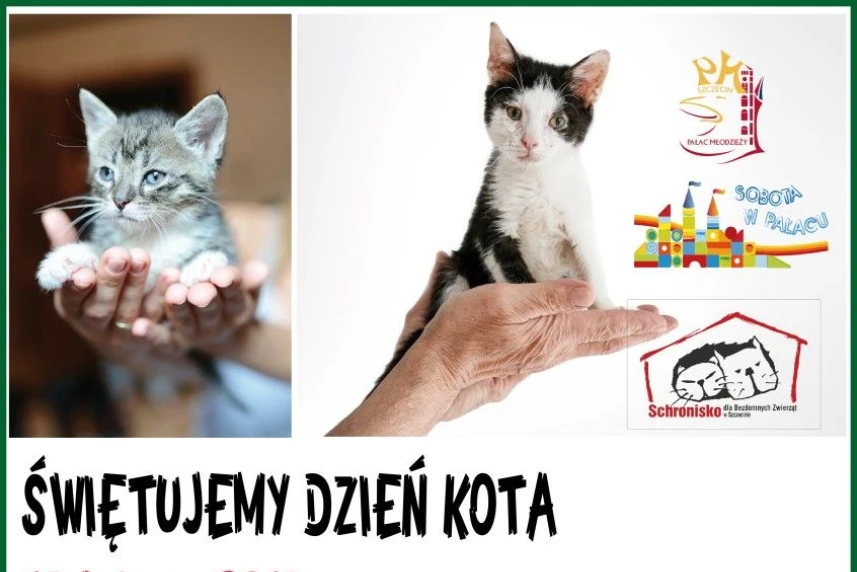 Świętujemy Dzień Kota w Pałacu Młodzieży Świętujemy Dzień Kota w Pałacu Młodzieży