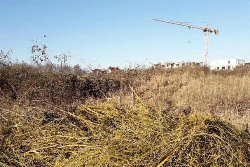 Podrzucił gałęzie - zapłacił mandat