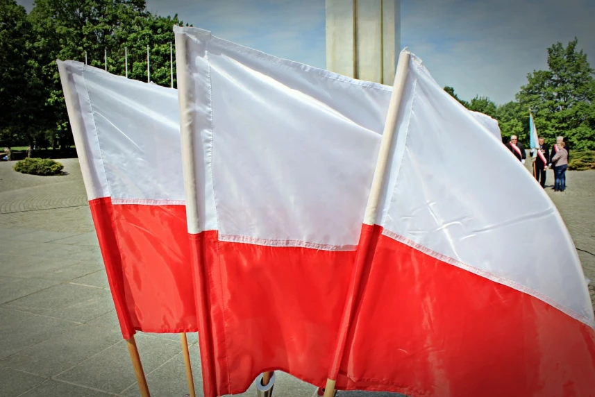 Dzień Flagi i Święto Narodowe Trzeciego Maja Dzień Flagi i Święto Narodowe Trzeciego Maja