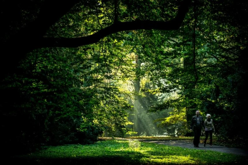 Ruszył remont w Parku Żeromskiego