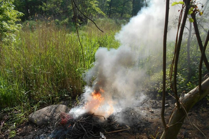 Przyłapali ich na gorącym uczynku