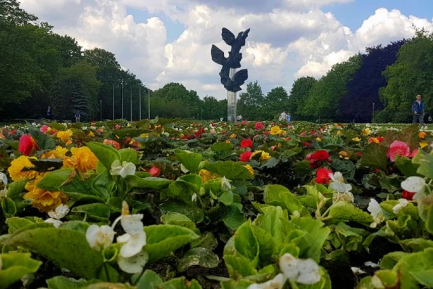 Tysiące kwiatów w Szczecinie [Galeria]