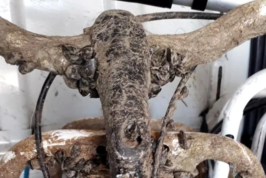 Rower jak potwór z Loch Ness