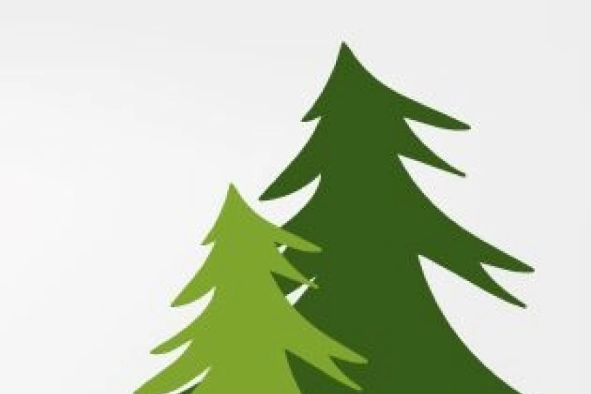 Choinkowy szał w Szczecinie