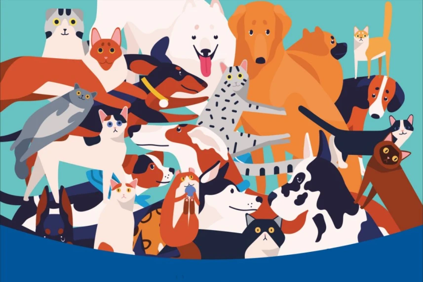 Międzynarodowy Dzień Psa. Zapraszamy w niedzielę do schroniska