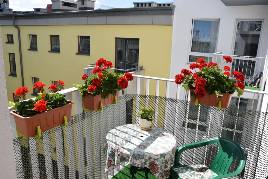 Te mieszkania spełniają oczekiwania seniorów