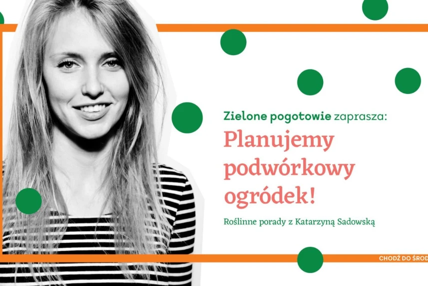 Powakacyjne zielone pogotowie