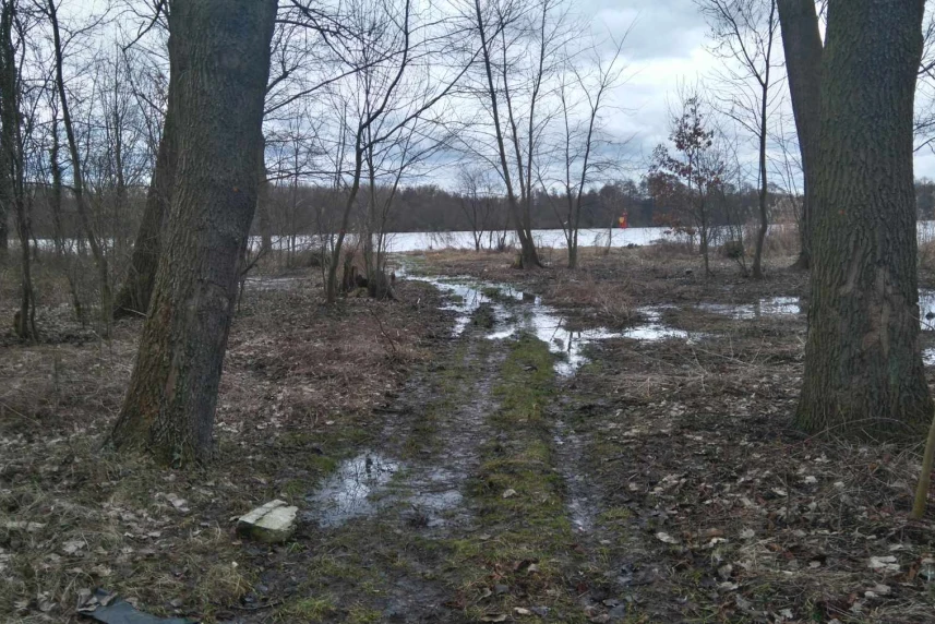 W Szczecinie powstanie nowy park