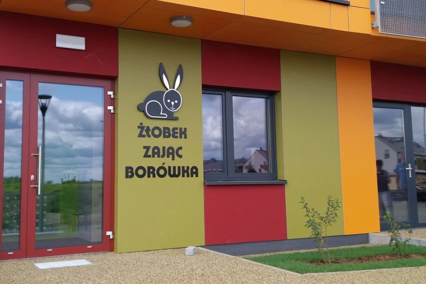 Zając Borówka w Szczecinie