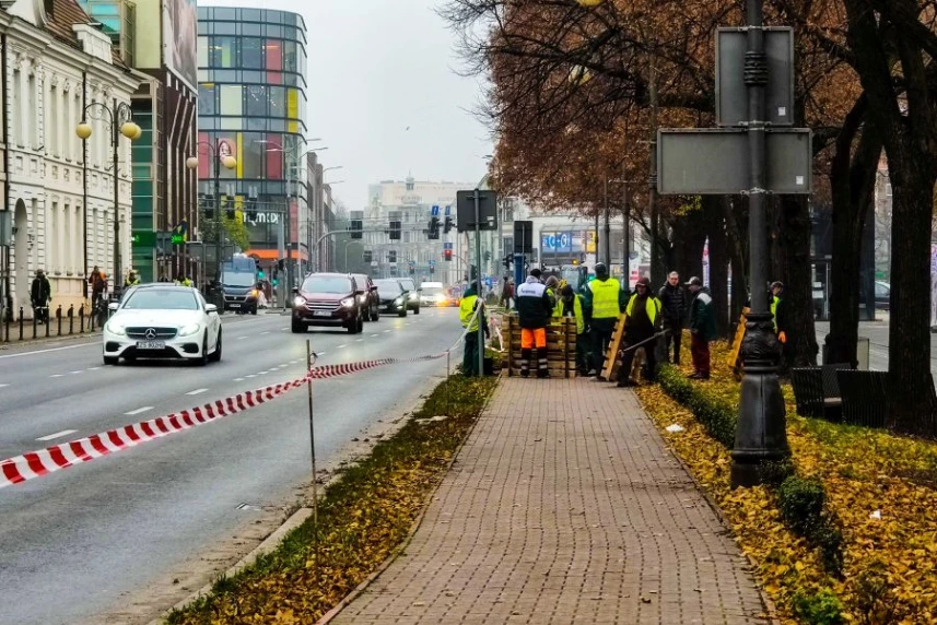 W centrum miasta pojawi się jeszcze więcej pięknych roślin W centrum miasta pojawi się jeszcze więcej pięknych roślin