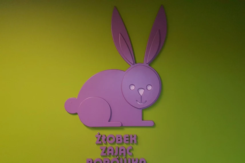 Zając Borówka otwarty